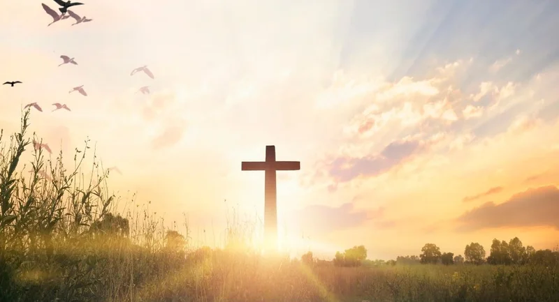 Cross-Border: What's the Latest Impact and Global Definition?